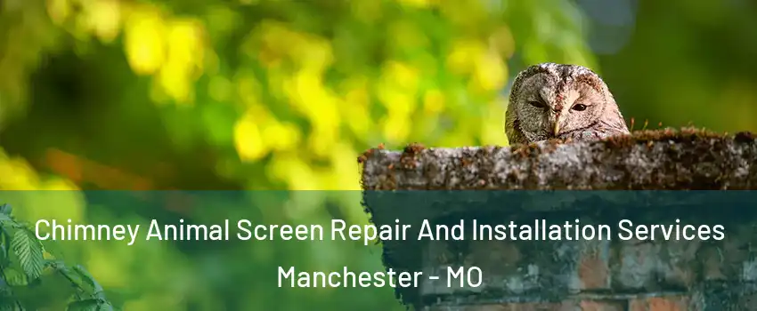  Chimney Animal Screen Repair And Installation Services Manchester - MO