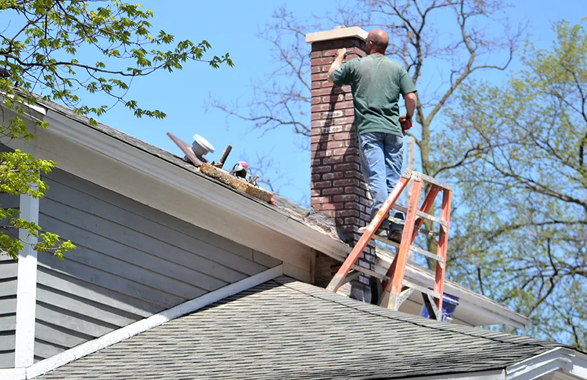 Chimney & Fireplace Inspections Services in Manchester, MO
