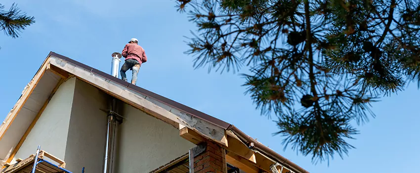 Birds Removal Contractors from Chimney in Manchester, MO