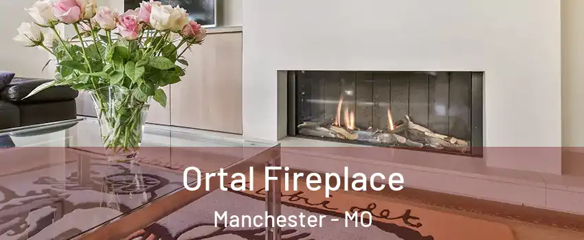  Ortal Fireplace Manchester - MO